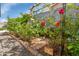 Charming rose garden with beautiful blooms and brick pathway at 15028 N 9Th St, Phoenix, AZ 85022