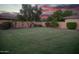 Well-kept backyard with a vibrant green lawn, mature trees, neatly trimmed shrubs, and a privacy fence at 15664 W Vernon Ave, Goodyear, AZ 85395