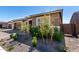 Charming home exterior featuring manicured landscaping with gravel, bushes, and young trees at 24054 N 171St Dr, Surprise, AZ 85387