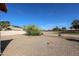 Large backyard featuring desert landscape, mature trees and privacy fence at 2009 N 125Th Ave, Avondale, AZ 85392