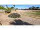 Expansive community area featuring desert landscape, mature trees, and walking paths at 2009 N 125Th Ave, Avondale, AZ 85392