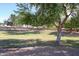 Serene community green with mature shade trees and lush landscape at 2009 N 125Th Ave, Avondale, AZ 85392