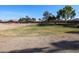 Expansive park with green grass, mature trees, and a walking path provides a serene and inviting atmosphere at 2009 N 125Th Ave, Avondale, AZ 85392