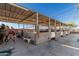 Horse stables featuring individual stalls with concrete flooring, offering a functional space for equine care at 22324 W Magnolia St, Buckeye, AZ 85326