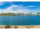 Scenic pond view with mature trees and a park under a partly cloudy blue sky at 37384 W Prado St, Maricopa, AZ 85138