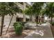 Landscaped courtyard view showing pathways, seating, and verdant foliage near residences at 5303 N 7Th St # 118, Phoenix, AZ 85014