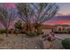 Charming single-story home with desert landscaping, mature trees, and a paver driveway, adding curb appeal at 1607 W Pearce Rd, Phoenix, AZ 85041