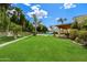 Large backyard with green lawn, palm trees, pool and covered patio at 1905 N Calle Maderas --, Mesa, AZ 85213