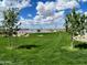 Expansive green space with well-manicured lawns and trees, offering a serene view of the community pond at 23162 E Canary Way, Queen Creek, AZ 85142
