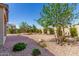 A beautifully landscaped backyard featuring gravel, trees, and shrubbery at 4361 S Electron --, Mesa, AZ 85212