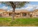 Well-maintained backyard featuring a mature tree, covered patio, and landscaping for outdoor enjoyment at 4909 W Pedro Ln, Laveen, AZ 85339