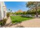 Expansive backyard featuring manicured lawn, gravel, mature trees, and desert landscaping at 7921 N 54Th St, Paradise Valley, AZ 85253
