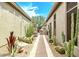 Landscaped backyard with desert plants and a barbecue at 8220 E Mohawk Ln, Scottsdale, AZ 85255