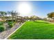 Community park with green grass, landscaping, and covered seating area at 830 E Buist Ave, Phoenix, AZ 85042