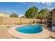 Backyard pool, surrounded by mature trees and plants, offering a serene and private outdoor space at 9167 N 73Rd Ln, Peoria, AZ 85345