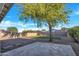 Large backyard with gravel landscaping, artificial turf, block wall and mature shade tree at 920 E Leslie E Ave, San Tan Valley, AZ 85140
