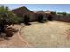 Landscaped backyard with shrubs features ample space for relaxing, entertaining, and enjoying the outdoors at 10247 W Hilton Ave, Tolleson, AZ 85353