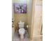 Cozy bathroom featuring a clean toilet and shower at 1384 E Las Colinas Dr, Chandler, AZ 85249