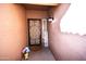 Inviting entryway features a decorative security door, warm paint tones, and a welcoming atmosphere at 1384 E Las Colinas Dr, Chandler, AZ 85249