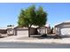 Charming single-story home featuring a well-manicured front yard with a mature shade tree and a two-car garage at 1384 E Las Colinas Dr, Chandler, AZ 85249