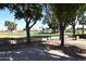 Scenic view of the community golf course offering leisure and recreation opportunities at 1384 E Las Colinas Dr, Chandler, AZ 85249