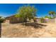 Spacious backyard featuring a dirt and gravel landscape, block fence, and several trees at 16112 W Buchanan St, Goodyear, AZ 85338