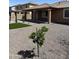 Backyard featuring an ornamental tree, decorative rock, and covered patio at 1702 N 214Th Ln, Buckeye, AZ 85396