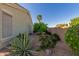 Side yard with lush landscaping, providing a private outdoor space at 17517 W Dahlia Dr, Surprise, AZ 85388