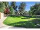 Community green space features lush grass and mature trees at 250 E Barbarita Ave, Gilbert, AZ 85234