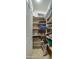 Walk-in pantry with multiple shelves, providing lots of space for storage and organization at 269 E Horseshoe Dr, Chandler, AZ 85249