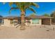 Charming single-story home with a desert landscape and a large palm tree in the yard at 3 S 130Th Pl, Chandler, AZ 85225