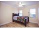 Light-filled bedroom featuring wood flooring, a ceiling fan, and ample natural light from bright windows at 3306 E Jaeger Cir, Mesa, AZ 85213