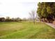 Expansive community green space with mature trees, walking paths, and a tranquil environment for residents at 3306 E Jaeger Cir, Mesa, AZ 85213