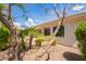Lush backyard with mature trees, palm trees, and tasteful landscaping, enhancing privacy at 815 W Juniper Ln, Litchfield Park, AZ 85340