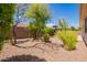 Serene backyard oasis with mature landscaping, gravel, and a tranquil ambiance for relaxation at 815 W Juniper Ln, Litchfield Park, AZ 85340