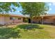 Charming front yard features a well-manicured lawn, mature tree, and a decorative wall at 8202 E Coolidge St, Scottsdale, AZ 85251