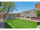 Expansive backyard with manicured lawn and mature tree at 12062 W Duane Ln, Peoria, AZ 85383