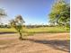 Beautiful community golf course with mature trees and lush green grass at 43324 W Desert Fairways Dr, Maricopa, AZ 85138