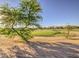 Lush green golf course with desert landscaping and the morning sun provides a serene backdrop at 43324 W Desert Fairways Dr, Maricopa, AZ 85138