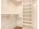Closet with a shelf, hanging rod, and a built-in shelving unit for organized storage at 10903 E Ocaso Ave, Mesa, AZ 85212
