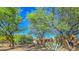 Desert landscaped backyard featuring covered patio, mature trees and home exterior at 12646 N 80Th Pl, Scottsdale, AZ 85260
