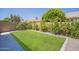 Manicured backyard with lush lawn, charming landscaping, and private outdoor living space at 1562 E Gleneagle Dr, Chandler, AZ 85249