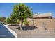 Lush backyard with mature citrus trees, rock landscaping and tranquil outdoor space at 1562 E Gleneagle Dr, Chandler, AZ 85249