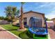 A charming backyard with artificial turf, a trampoline, and a mature palm tree at 17290 N 170Th Ln, Surprise, AZ 85374