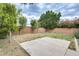 Green backyard with healthy trees, neutral block fence, and a concrete patio at 20419 N 34Th St, Phoenix, AZ 85050