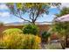 This back yard features desert landscaping, brick walls, and mature trees with mountain views at 21573 N 261St Ave, Buckeye, AZ 85396