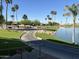 Manicured landscaping view next to a pond, enhanced by a paved path and towering palm trees at 24816 S Golfview Dr # 46, Sun Lakes, AZ 85248