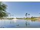 Scenic view of a pond with palm trees and a fountain in a community at 24816 S Golfview Dr # 46, Sun Lakes, AZ 85248