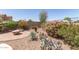 Private backyard with a cozy fire pit area and xeriscape desert landscaping at 318 E Taylor Trl, San Tan Valley, AZ 85143