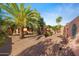Lush backyard with mature palm trees and desert landscaping at 4055 N Recker Rd # 71, Mesa, AZ 85215